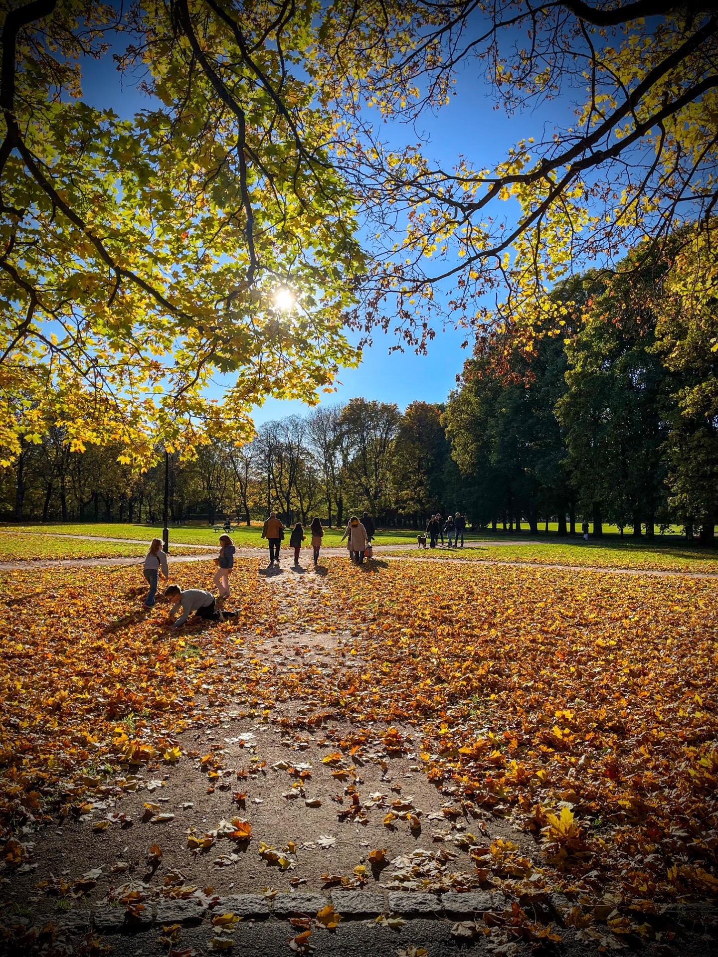 Copyright Sjur Langeland